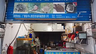 Store suspected of selling trafficked wildlife is seen in Guangde city  (Anti-Poaching Special Squad via AP)