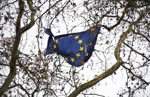 علم الاتحاد الأوروبي عالق وممزق على شجرة خارج مبنى البرلمان البريطاني في لندن. 16/12/2019