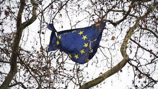 علم الاتحاد الأوروبي عالق وممزق على شجرة خارج مبنى البرلمان البريطاني في لندن. 16/12/2019
