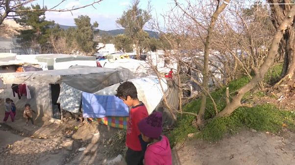 Bauern auf Chios: Leben direkt am Flüchtlingscamp Bauern auf Chios: Leben direkt am Flüchtlingscamp