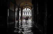 Birleşmiş Milletler'den ilk kez 'iklim mültecisi' kararı