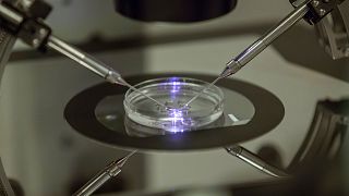 An in vitro fertilisation embryologist works on a petri dish at the Create Health fertility clinic in south London. 