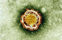 Coronavirüs 2019-nCoV
