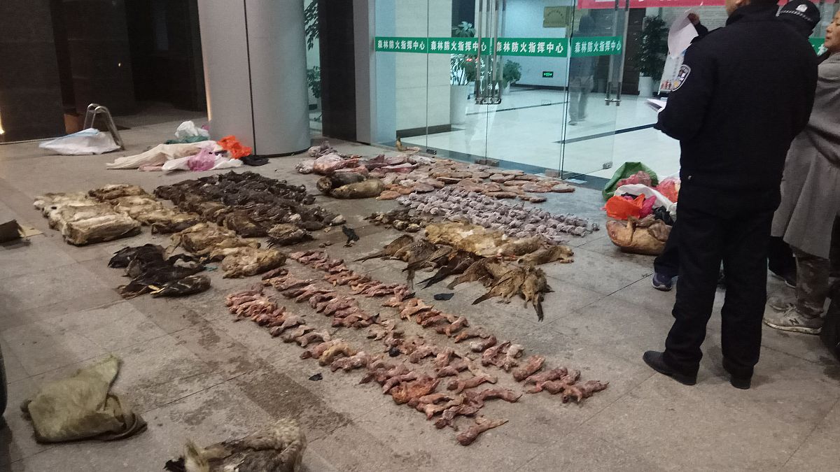 السلطات الصينية تقوم بحظر مؤقت على تجارة الحيوانات البرية