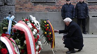 Germany's President Frank-Walter Steinmeier 