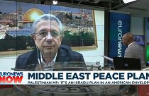 Palestinian MP on Trump’s Middle East peace plan: 'It's an Israeli plan in an American envelope'