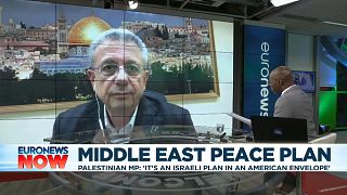 Palestinian MP on Trump’s Middle East peace plan: 'It's an Israeli plan in an American envelope'