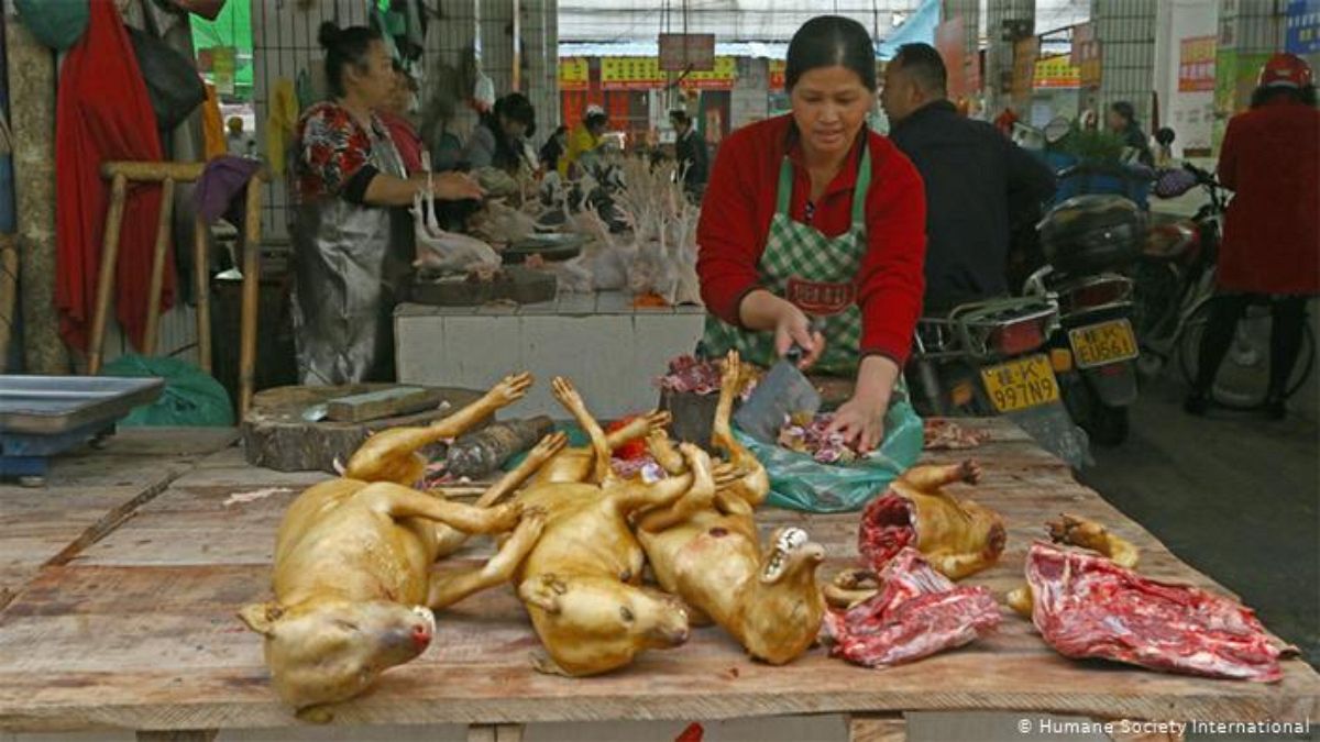 Çin pazarında satlan köpek etleri
