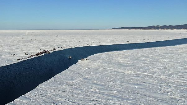 Сотни рыбаков оказались на мели после того, как лед откололся Сотни рыбаков оказались на мели после того, как лед откололся