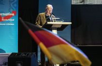 Бундестаг лишил депутатской неприкосновенности Александра Гауланда
