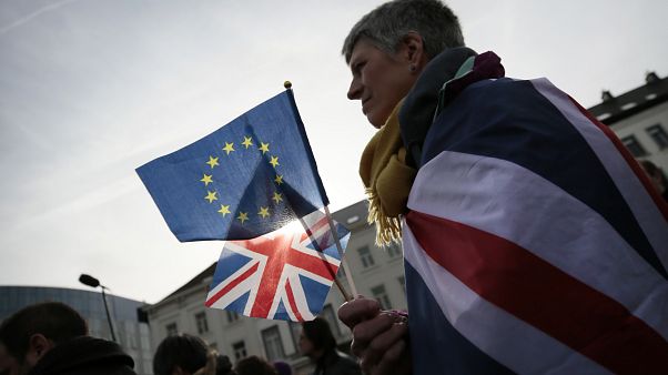Un chêne aux couleurs britanniques devant le Parlement européen Un chêne aux couleurs britanniques devant le Parlement européen