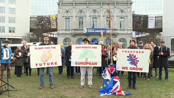 Британский дуб у Европарламента Британский дуб у Европарламента
