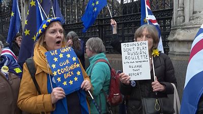 Sie demonstrieren gegen den Brexit