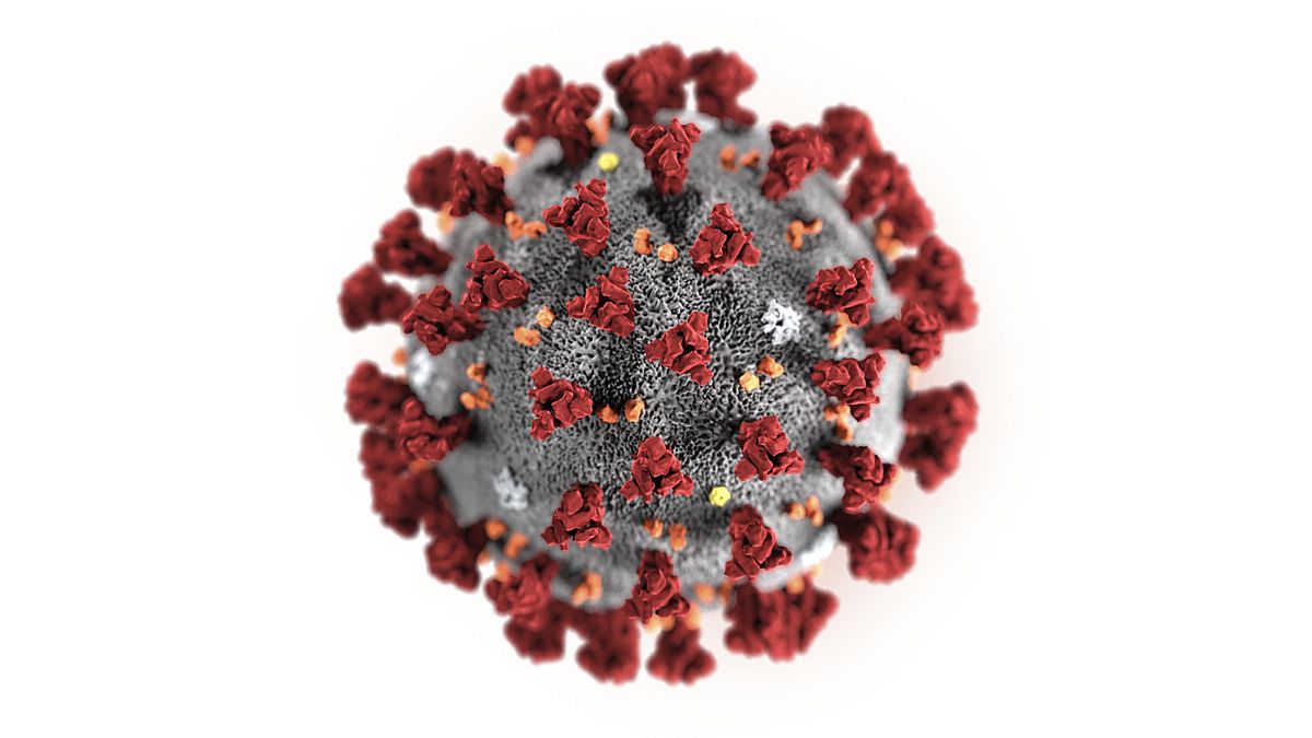 Quanto dobbiamo temere il coronavirus? Tassi di letalità a confronto
