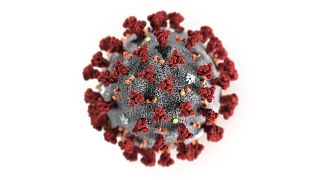 This illustration provided by the Centers for Disease Control and Prevention in January 2020 shows the 2019 Novel Coronavirus (2019-nCoV)