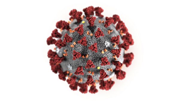 O novo coronavírus, baptizado cientificamente como 2019-nCoV O novo coronavírus, baptizado cientificamente como 2019-nCoV