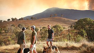 الحرائق في أستراليا مستمرة والسلطات تعلن حالة الطوارئ