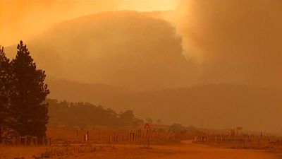 Avustralya'da tehlikeli orman yangınları nedeniyle halka sığınaklara gitme çağrısı