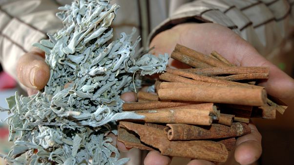 Tedavi için kullanılan bitkiler