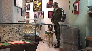 Inside Mexico's hidden museum of drug trafficking