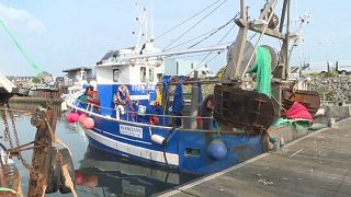 Первый удар "брексита" - по французским рыбакам