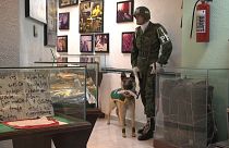Un "museo del narco" en México