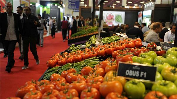 TÜİK: Enflasyon ocakta yüzde 1,35 artarken, yıllık bazda yüzde 12,15 TÜİK: Enflasyon ocakta yüzde 1,35 artarken, yıllık bazda yüzde 12,15