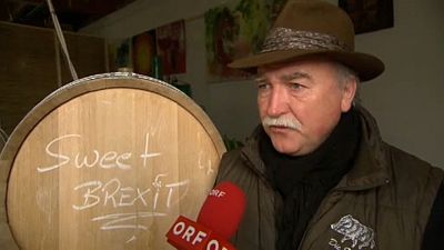Brexit-bort dobott piacra egy osztrák borász