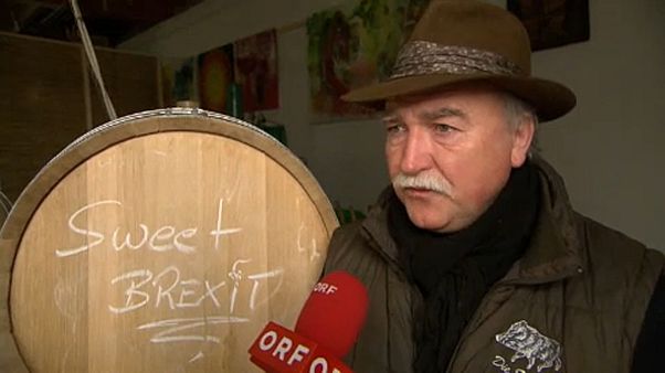 Brexit-bort dobott piacra egy osztrák borász Brexit-bort dobott piacra egy osztrák borász