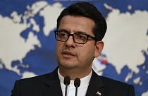 سید عباس موسوی، سخنگوی وزارت خارجه ایران