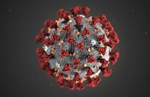   ژاپن کیت‌ تشخیص سریع ویروس کرونا را می‌سازد 