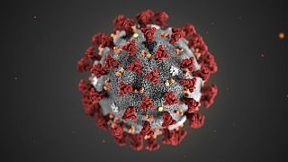   ژاپن کیت‌ تشخیص سریع ویروس کرونا را می‌سازد 