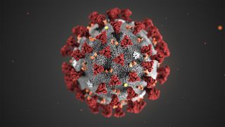Ilustração do novo coronavírus 2019-nCoV