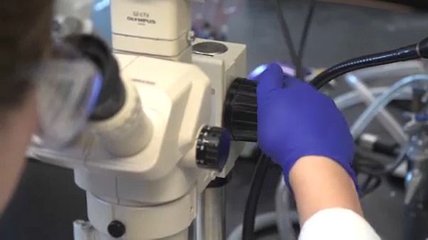 Das sagen Europas Forscher zum Coronavirus 2019-nCoV Das sagen Europas Forscher zum Coronavirus 2019-nCoV