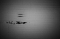 الدنمارك: اتهام ثلاثة إيرانيين بالتجسس لصالح السعودية