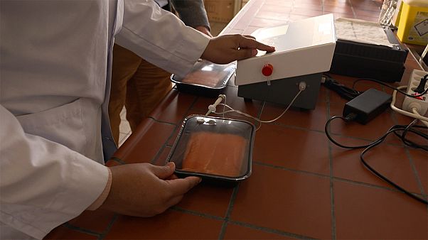 Komoly ökológiai hatásai vannak az élelmiszerpazarlásnak Komoly ökológiai hatásai vannak az élelmiszerpazarlásnak