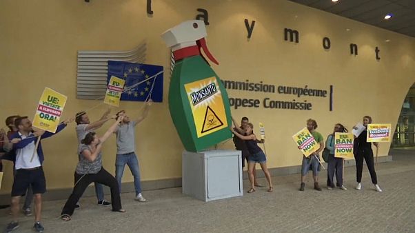 euronews euronews