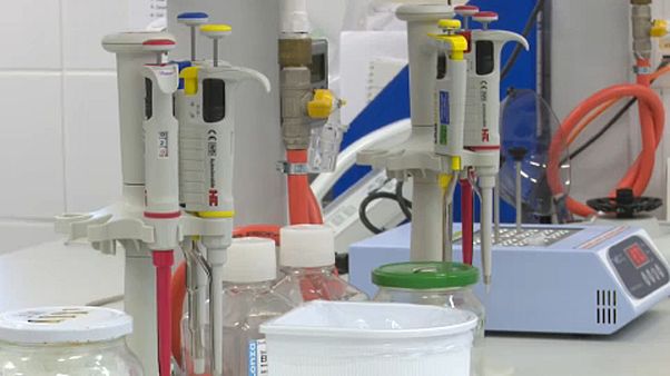 A Szentágothai János Kutatóközpont laborja A Szentágothai János Kutatóközpont laborja