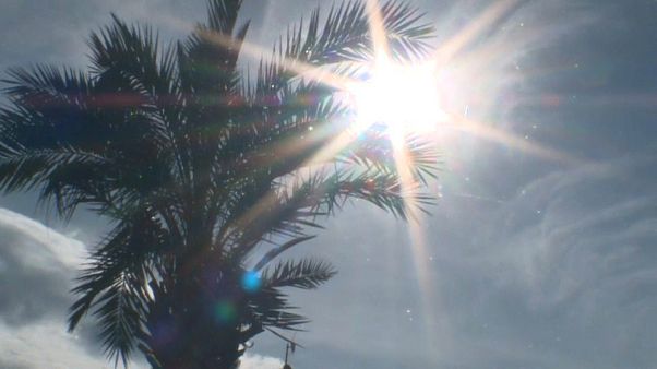 Europa registra el mes de enero más cálido de su historia Europa registra el mes de enero más cálido de su historia