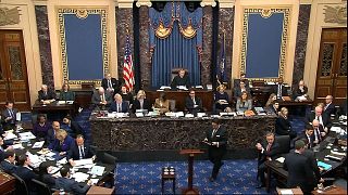 Closing arguments in the impeachment trial against Donald Trump in the Senate at the US Capitol in Washington, February 3, 2020. (Senate Television via AP)