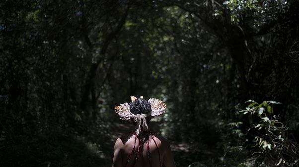 Brasile: il presidente Bolsonaro presenta la sua legge per l'Amazzonia Brasile: il presidente Bolsonaro presenta la sua legge per l'Amazzonia