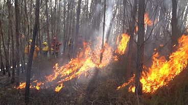 A prevenção dos incêndios: o caso português