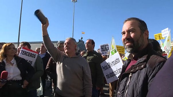 El campo español estalla: "Queremos precios justos" El campo español estalla: "Queremos precios justos"
