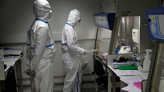 Des chercheurs de l'Institut Pasteur, à Paris, étudiant une souche du coronavirus 2019-nCoV, le 6 février 2020.