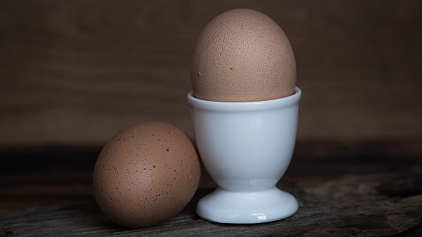 تعرف على خصائص البيض النباتي الثوري الجديد المنتج في مختبر باريسي تعرف على خصائص البيض النباتي الثوري الجديد المنتج في مختبر باريسي
