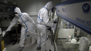 Ученые Института Пастера в Париже разрабатывают вакцину от нового коронавируса.