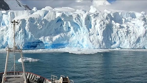 Aprieta el calor en la Antártida, con temperaturas récord Aprieta el calor en la Antártida, con temperaturas récord