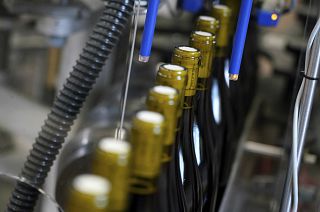 Bottles of wine are pictured in the Vinescence cellar in Saint Jean d'Ardieres, in the Beaujolais region, eastern France, in November 2019.