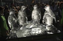 Klima-AktivistInnen in Brüssel marschieren für Schutz der Meere