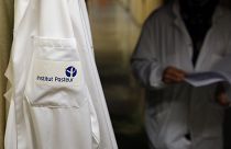 French scientists at the Pasteur Institute developed and shared a quick test for the new virus that is spreading worldwide. (AP Photo/Francois Mori